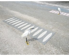 Szürke kültéri-beltéri futószőnyeg 70x150 cm Ella Warm Grey – Pappelina