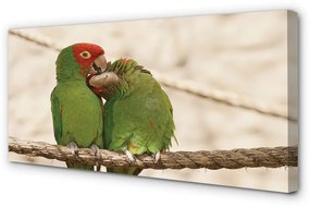 Canvas képek zöld papagájok 100x50 cm