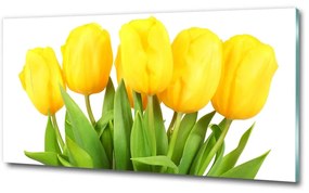 Egyedi üvegkép Sárga tulipánok osh-50296445