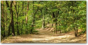 Konyhai panel Erdei ösvény 100x50 cm Ragasztó