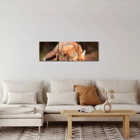 Kép - Róka az erdőben (órával) (90x30 cm)