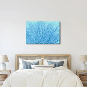 Kép - Makro felvétel egy virágról (90x60 cm)