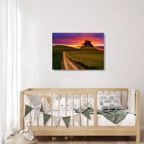 Mezei naplemente képe (üvegen) (70x50 cm)