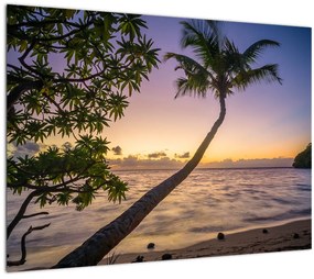 Kép a pálmafa a tengerparton (70x50 cm)