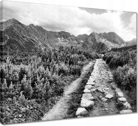 Vászonkép 50x40 Tátra Lengyel hegyek Kilátás