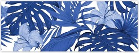 Fotótapéták 250x93 Classic Blue Monstera