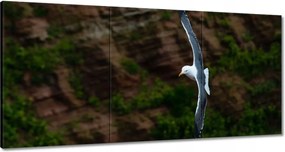 Vászonkép 180x90 Madarak