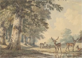 Flizelin tapéta Divatos 3D fali ragasztó Erdei nyugalom 312x219 ragasztó