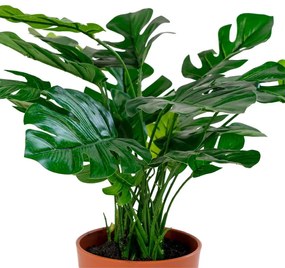 Monstera műnövény