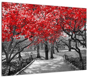 Kép - vörös fák,Central Park, New York (üvegen) (70x50 cm)