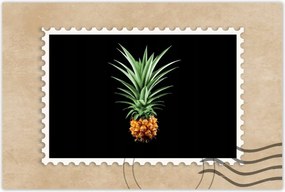 Poszterek 90x60 Ananász