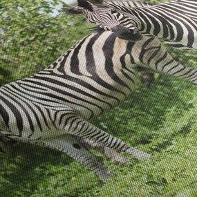 Zebrák képe (120x50 cm)