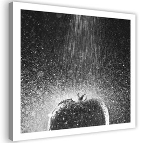 Gario Vászonkép Paradicsom egy csepego vízben Méret: 30 x 30 cm