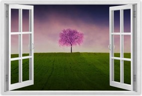 Poszter 60x40 Malackafa