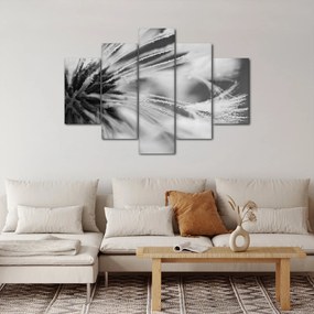Kép - Makró, fekete-fehér (150x105 cm)