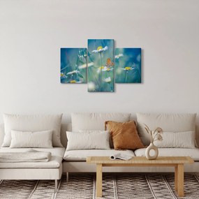 Kép - pillangó a százszorszépen (90x60 cm)