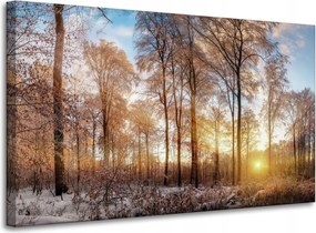 Vászonkép Fák Tél Felkelő Nap 100x60 cm Ideális ajándék