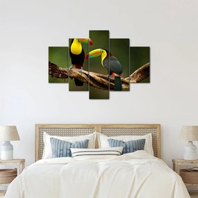 Ülő tukánok képe, Costa Rica (150x105 cm)