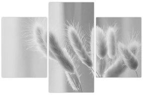 Kép - Nyuszi farok fű (90x60 cm)