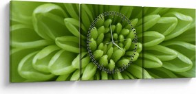 Kép - Makro kép egy növényről (órával) (90x30 cm)
