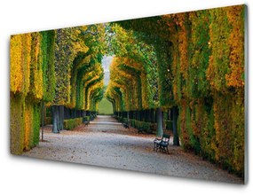 Modern üvegkép Park Őszi kert Természet 100x50 cm 2 fogas