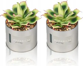 Mesterséges növények Pipetta 2db Pozsgás Virágtartó