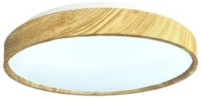 LED Dimmelhető mennyezeti lámpa OPAL LED/48W/230V 3000-6500K + távirányítás