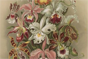 Fotótapéta Flizelin Fali Ragasztó Szett Virágos elegancia 104x70 Ragasztó