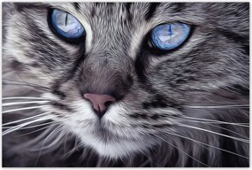 Poszterek 120x80 Cica Cicák