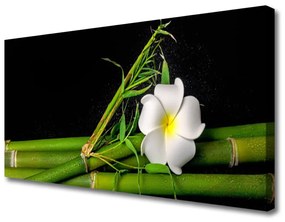 Vászonkép Bamboo Virág Plant 120x60 cm