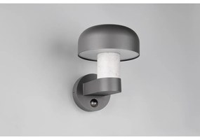 Fali kültéri lámpa (magasság 24,5 cm) Fraser – Trio