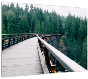 Kép - Híd a fák csúcsán (üvegen) (70x50 cm)