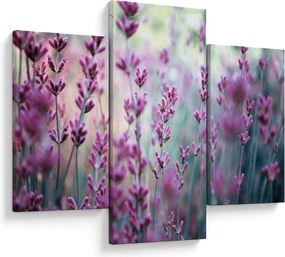 Kép - Levendula (90x60 cm)
