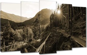 Festmények 100x60 Szépia tájkép Szépia