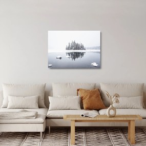 Kép - Fehér volt (üvegen) (70x50 cm)