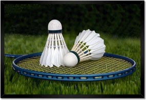 Poszterek keretben 60x40 Tollaslabda paletta