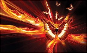 Fotótapéta Pillangók absztrakt vinil fény modern 208x146 +ragasztó