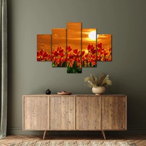 Kép egy virágzó mező tulipánokkal (150x105 cm)