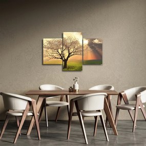 Fa képe a réten (90x60 cm)