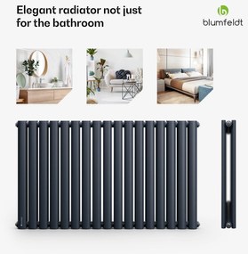 Blumfeldt Tallheo, 100 x 60, radiátor, csőradiátor, 1445 W, melegvizes, 1/2