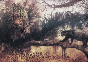 Fotótapéta Dekoratív Fali Tapéta Képekkel Erdei motívum 312x219