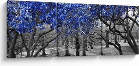 Kép - Kék fák, Central Park, New York (órával) (90x30 cm)