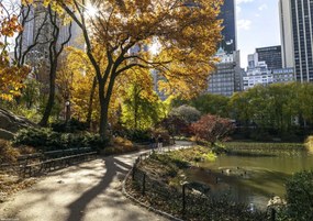 Poszter 29,7x21cm Ösvény a központi parkon át 5, Assaf Frank