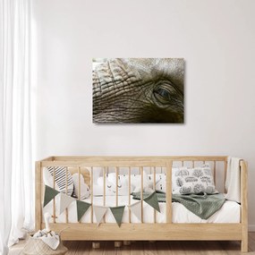 Üveg kép - Közelkép az öreg elefánt szeméről (70x50 cm)