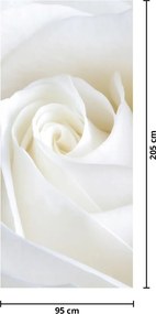 Fotótapéta ajtóra - Fehér rózsa (95x205cm)