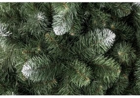 Karácsonyfa POLA 180 cm fenyő