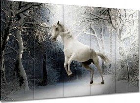 Vászonkép 100x70 Fehér paripa