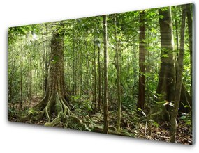 Üvegkép Nature Jungle Erdei fák 120x60cm 2 fogas