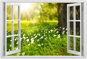 Poszterek 120x80 Sugár a réten