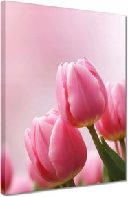 Vászonkép 30x40 Rózsaszín tulipánok